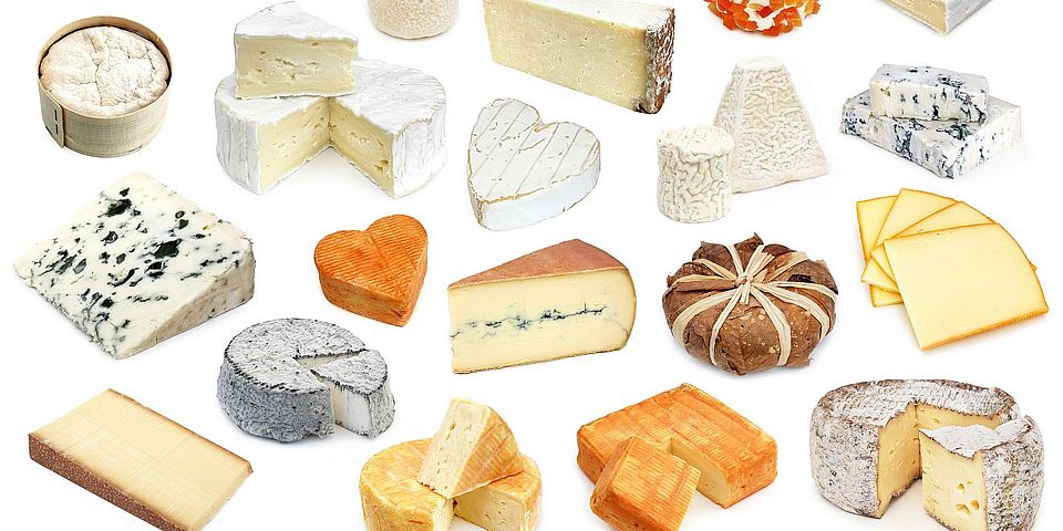 Käse