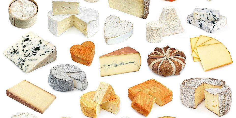 Käse