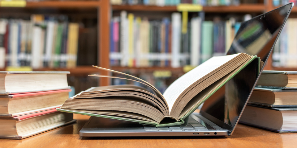 Individual Writing Consultations