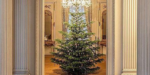 Weihnachtsbaumausstellung